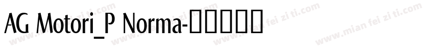 AG Motori_P Norma字体转换